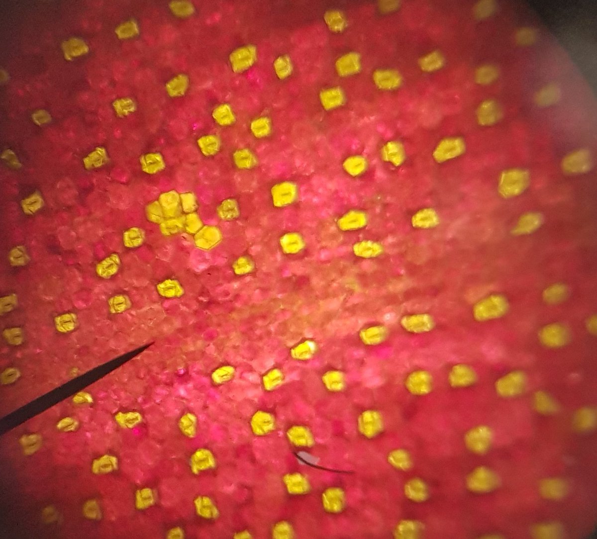 UNITY SCIENCE tweet media