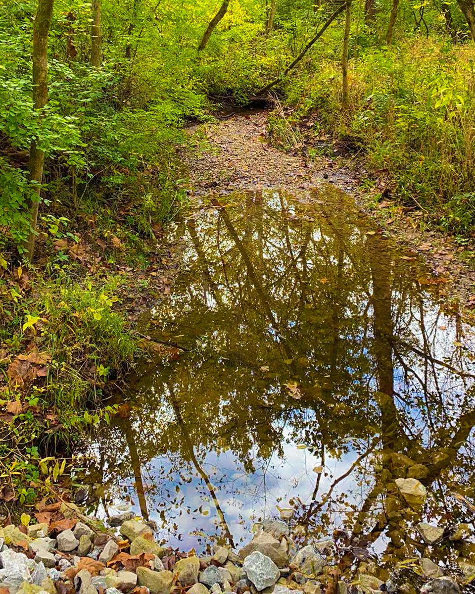 GeoPicApp tweet picture
