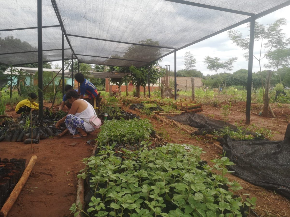 PNUD Paraguay tweet media