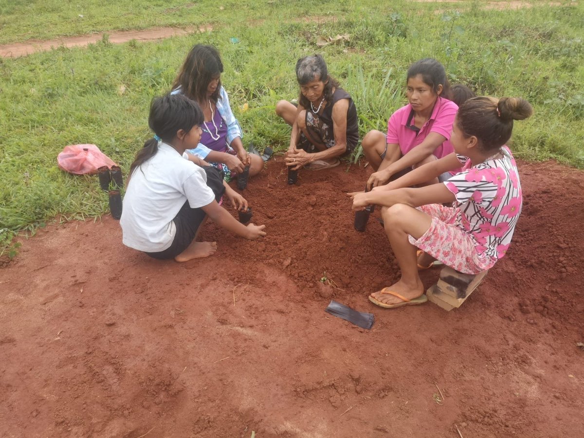 PNUD Paraguay tweet media