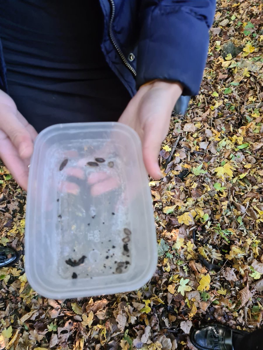 Epping St John’s Sixth Form tweet media