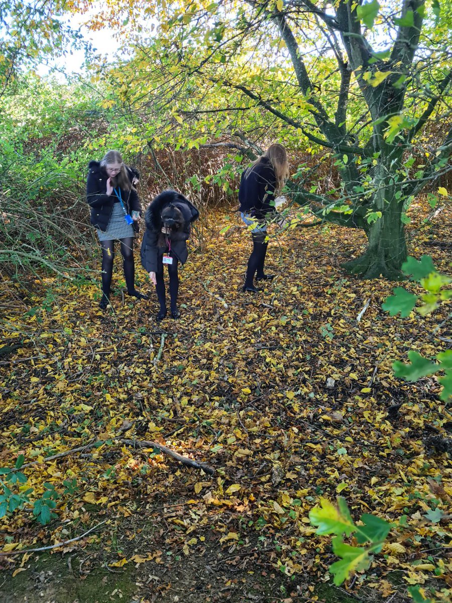 Year 13 Biologists <a href="/ESJ6Form/">Epping St John’s Sixth Form</a> taking their classroom outside with <a href="/ESJScienceAhmed/">Mrs Ahmed</a> <a href="/EppingStJohns/">ESJ</a>