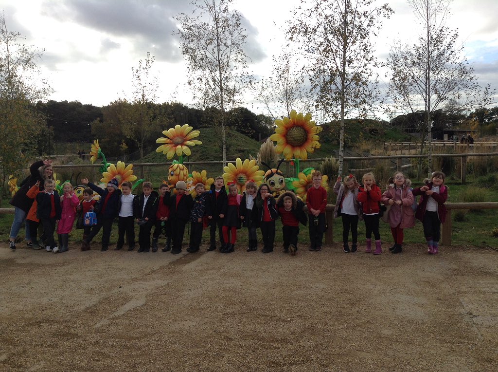 Here are some of the Snowy Owls!