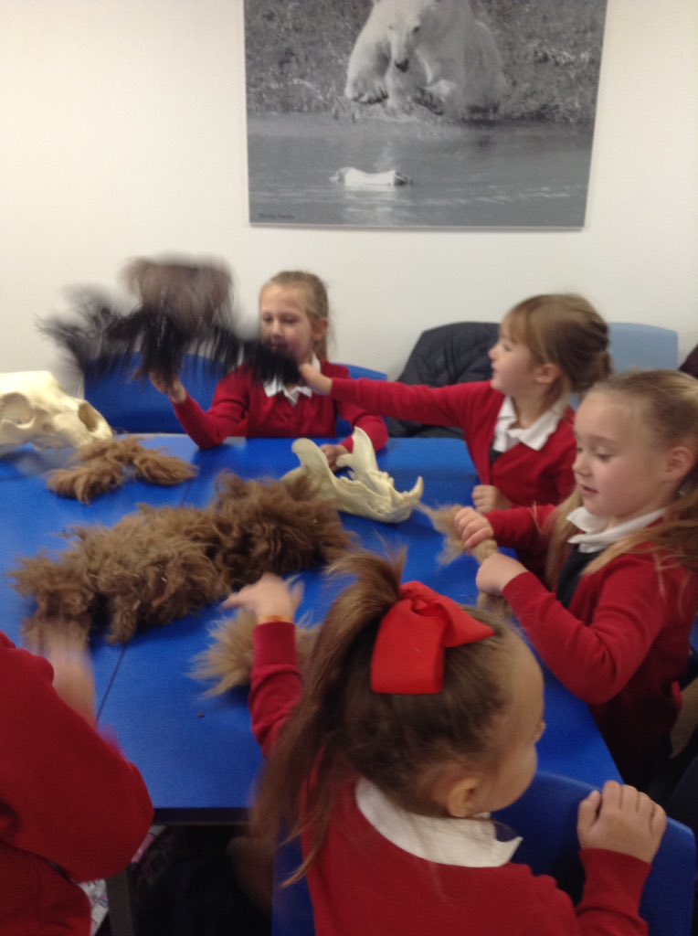 We got to look at some fantastic animal artefacts and we learnt all about animals and the habitats they live in.