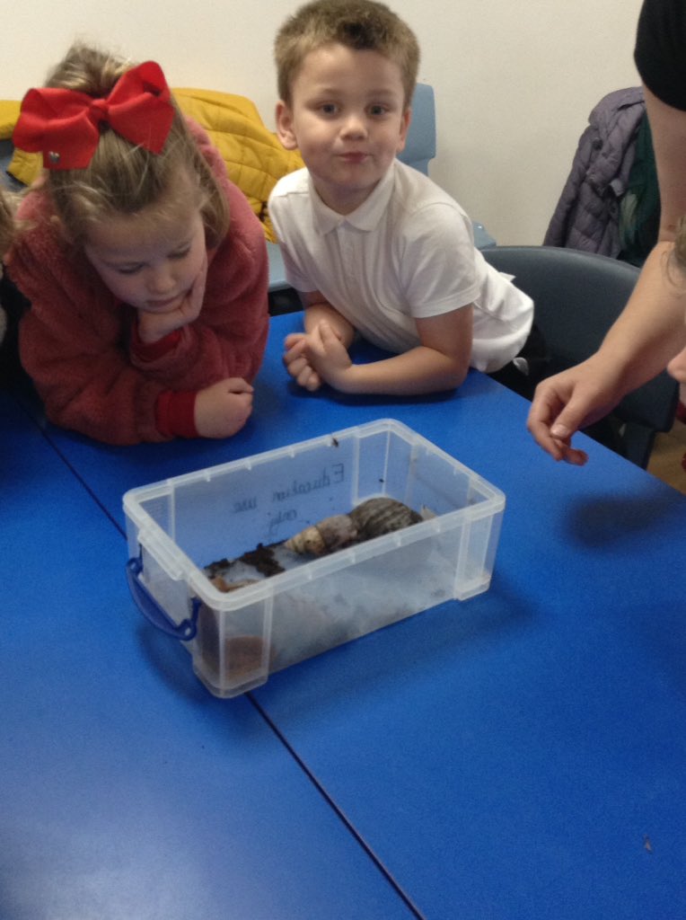We also met some giant African snails and hissing cockroaches!