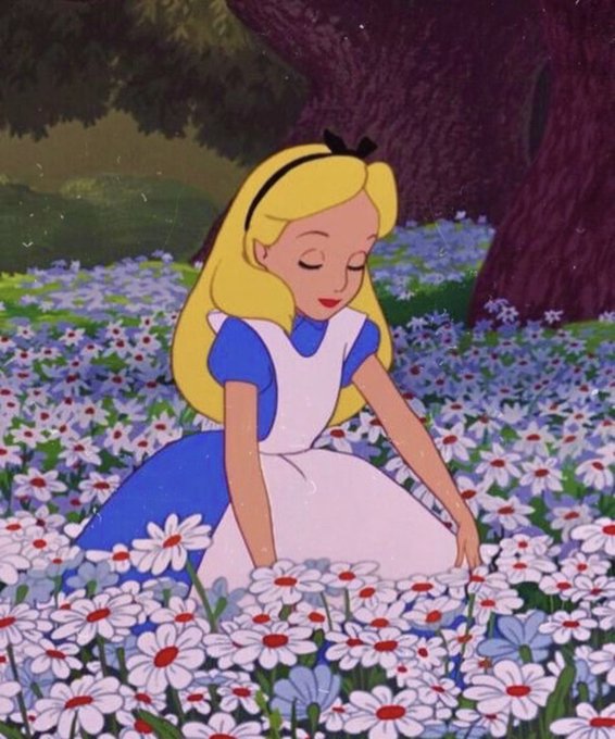 Follow me down the rabbit hole 🐇 https://t.co/7T7EYlO8VF<a href="/tag/electionday2022"class="tags"><span>#electionday2022</span></a>