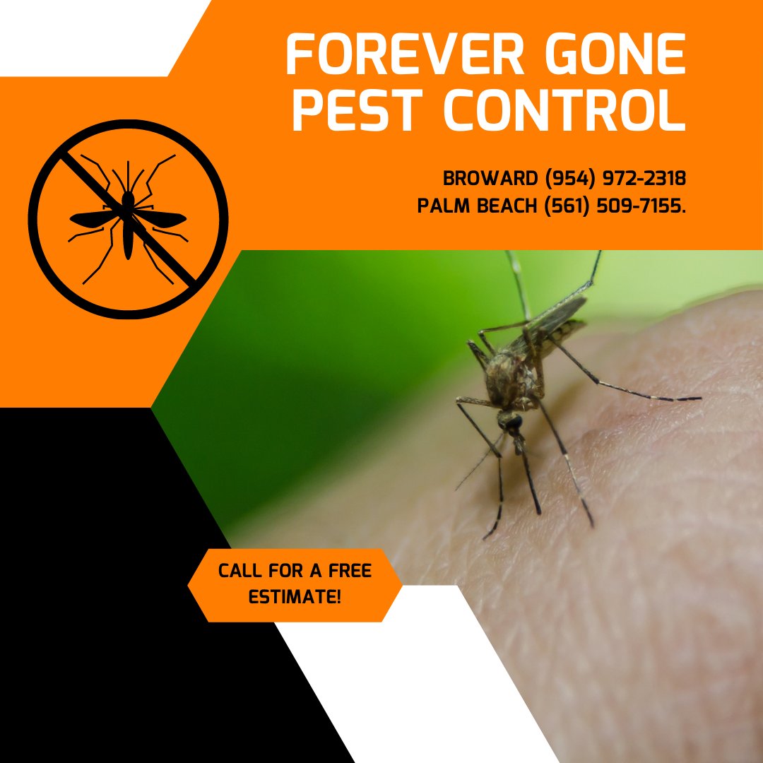 ForeverGonePC's tweet photo. We offer Premier Residential and Commercial Pest Control! Call for a Free Estimate Today!

#fall #pest #pestcontrol #southflorida #palmbeach #broward #bugs #forevergonepestcontrol #residential #commercial #lawncare #mosquitoes https://t.co/Jn4x7547f2