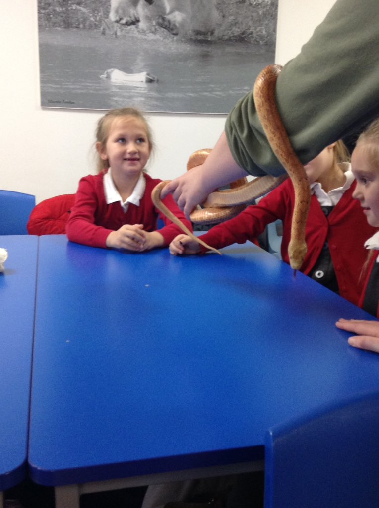 We met a very friendly snake 🐍