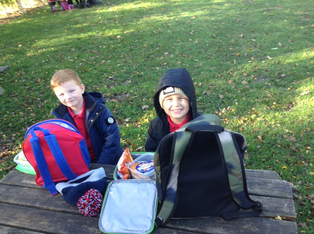 Sandhill Primary Snowy Owls tweet media