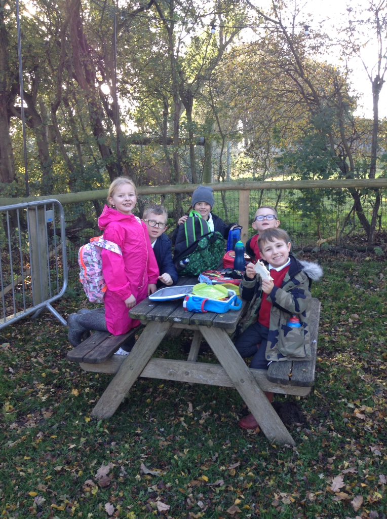 Sandhill Primary Snowy Owls tweet media