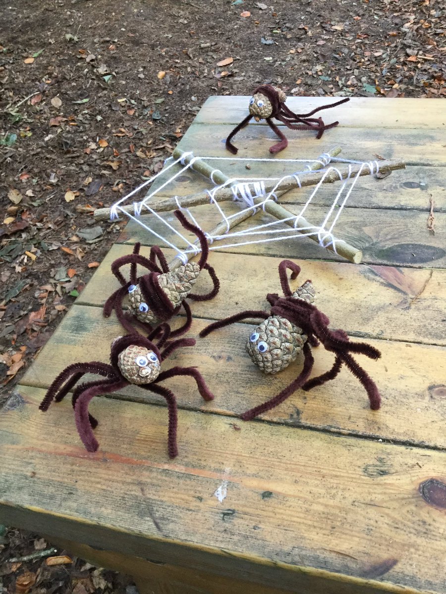 PipersForestSch's tweet image. Spiders were everywhere today when Year 1 @PipersPrePrep were in the forest #pipersoutdoors #pipersforest #forestfun