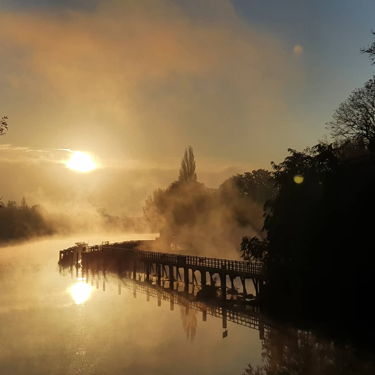 Nicholas Willmore tweet media