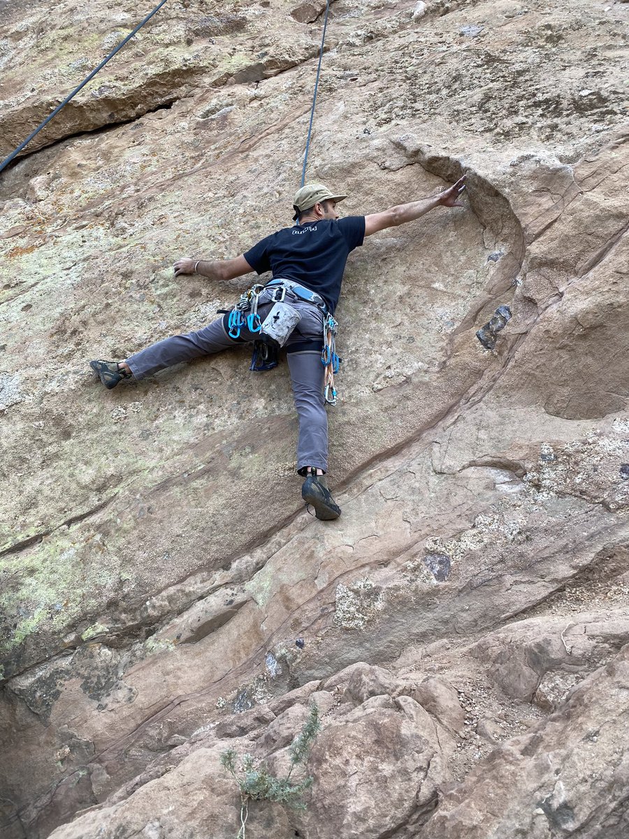 Alt Bloom tweet media