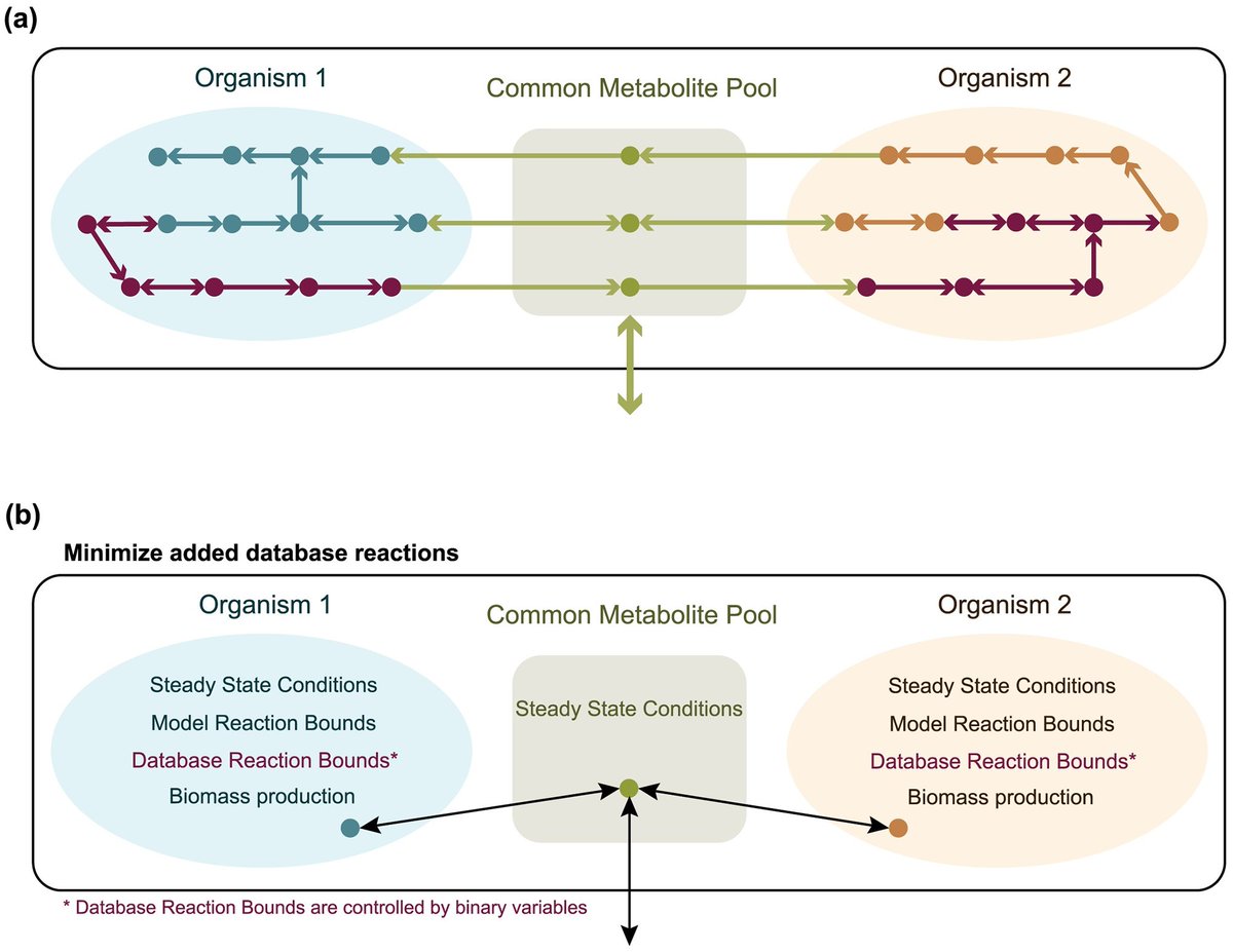 Mahadevan Lab @ UofT (@lmse_uoft) on Twitter photo New pub <a href="/PLOSCompBiol/">PLOS Comp Biol</a>! a #gapfilling method that resolves metabolic gaps at the community level was developed. The efficacy of the #algorithm was tested in three case studies.
#ComputationalBiology #metabolicengineering #synbio #microbialcommunities
journals.plos.org/ploscompbiol/a… New pub <a href="/PLOSCompBiol/">PLOS Comp Biol</a>! a #gapfilling method that resolves metabolic gaps at the community level was developed. The efficacy of the #algorithm was tested in three case studies.
#ComputationalBiology #metabolicengineering #synbio #microbialcommunities
journals.plos.org/ploscompbiol/a…