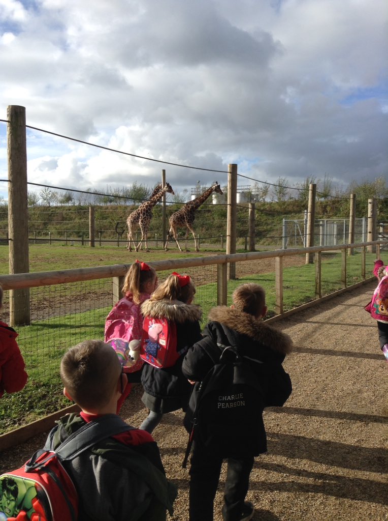 Here are some more animals we saw!