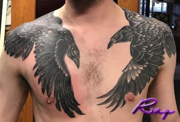 RaysTattoo's tweet photo. These crows tattooed by Ray shows he knows what he is doing. https://t.co/CYWKoObho6