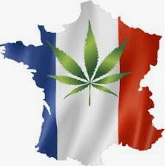 BeuhCoeur's tweet photo. Imaginez juste 30 secondes :
#FranceVerte #GalliaVeridis #Thehighcommunity #legislation2022
Tous réunis pour un même combat....
L' union fait la force....
La division la détruit !
Un seul but ! La légalisation https://t.co/6A1y2jOaat