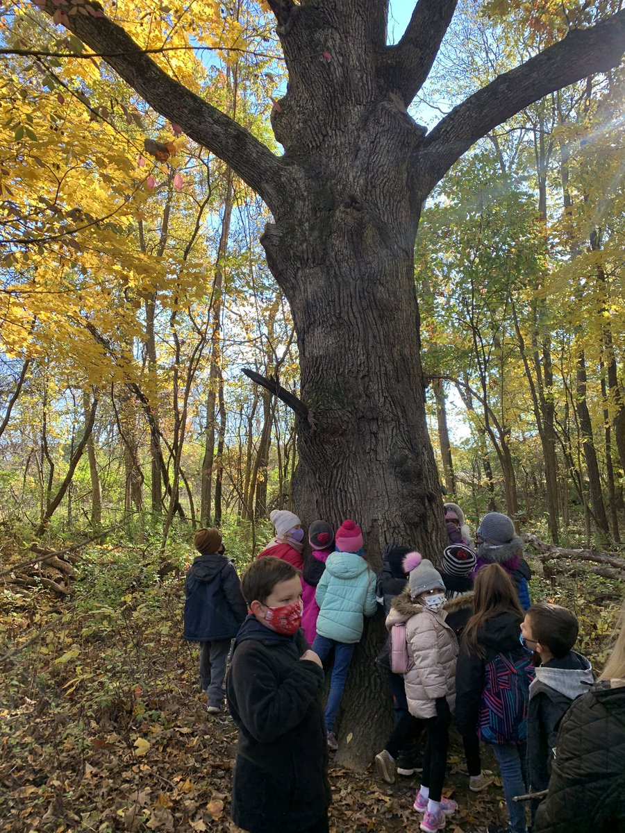 schillinIn2nd's tweet photo. Beautiful day for a field trip! #hoover https://t.co/xuOUE4Kesy