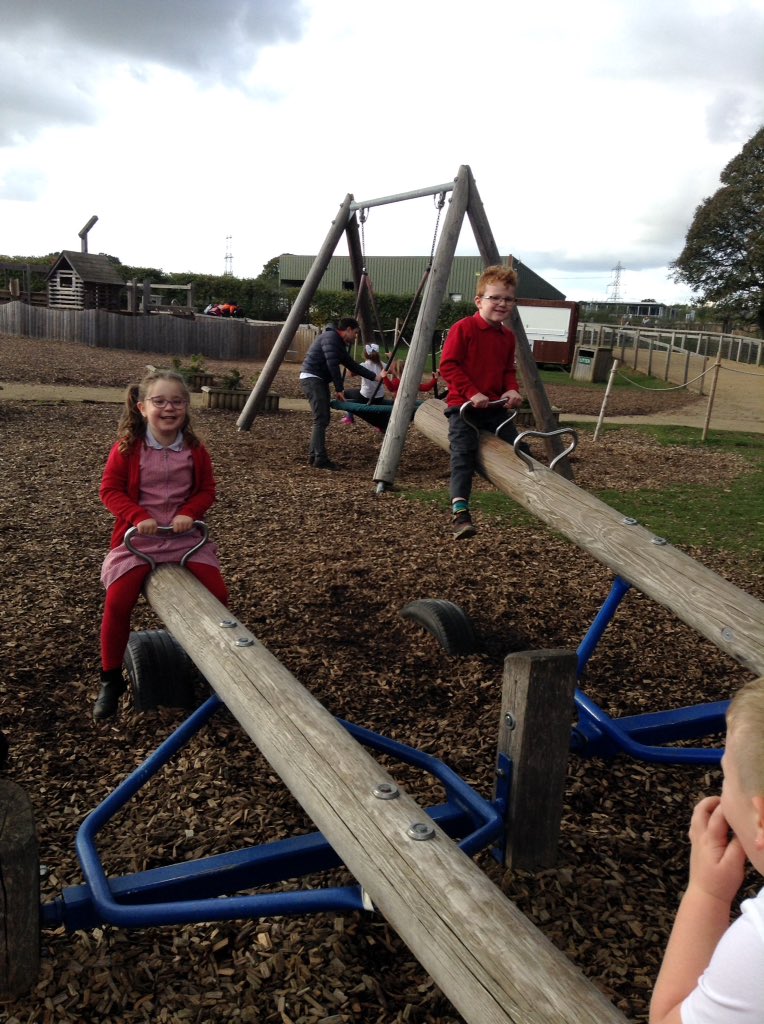 Sandhill Primary Snowy Owls tweet media