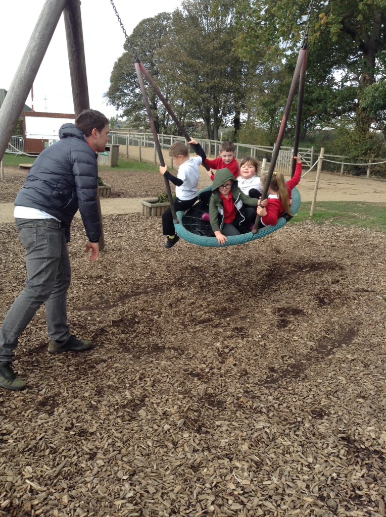 Sandhill Primary Snowy Owls tweet media