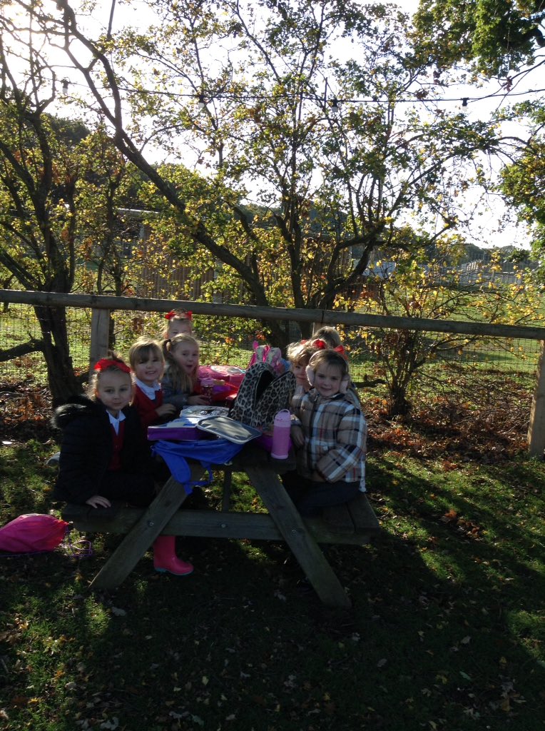 Sandhill Primary Snowy Owls tweet media