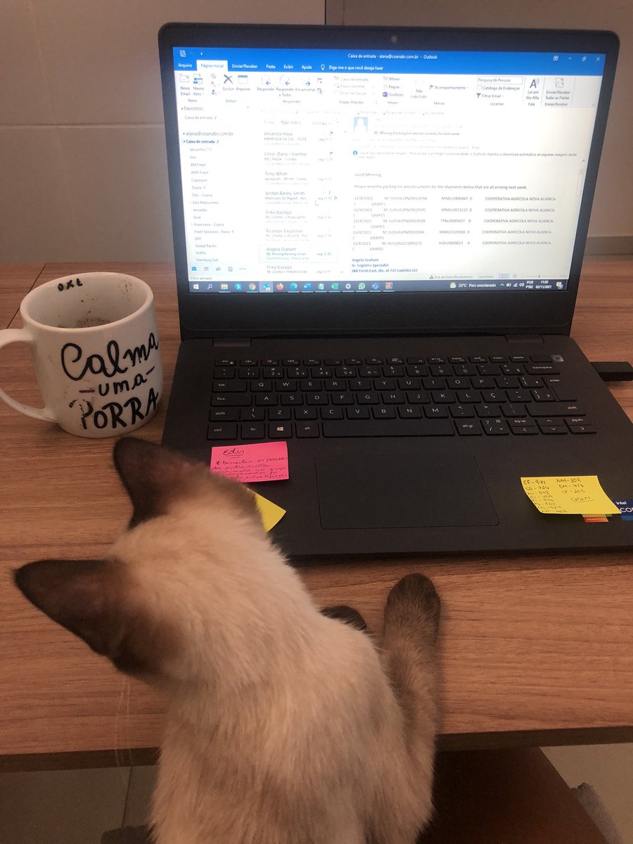 Feriado do dia internacional dos BOs internacionais por aqui… Só mesmo café e Merlot pra me ajudar.