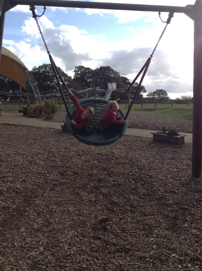 Sandhill Primary Snowy Owls tweet media