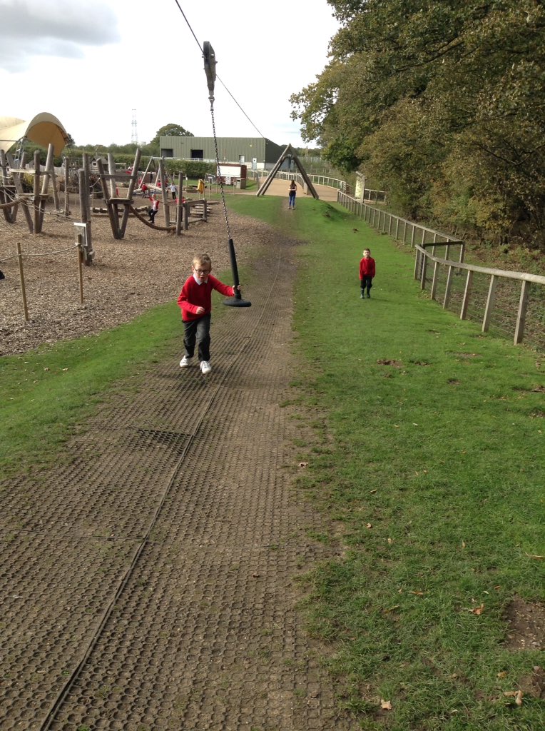 Sandhill Primary Snowy Owls tweet media
