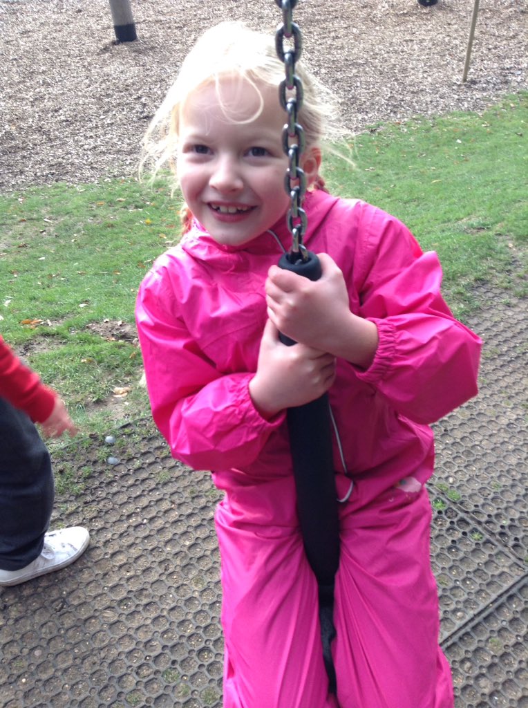 Sandhill Primary Snowy Owls tweet media