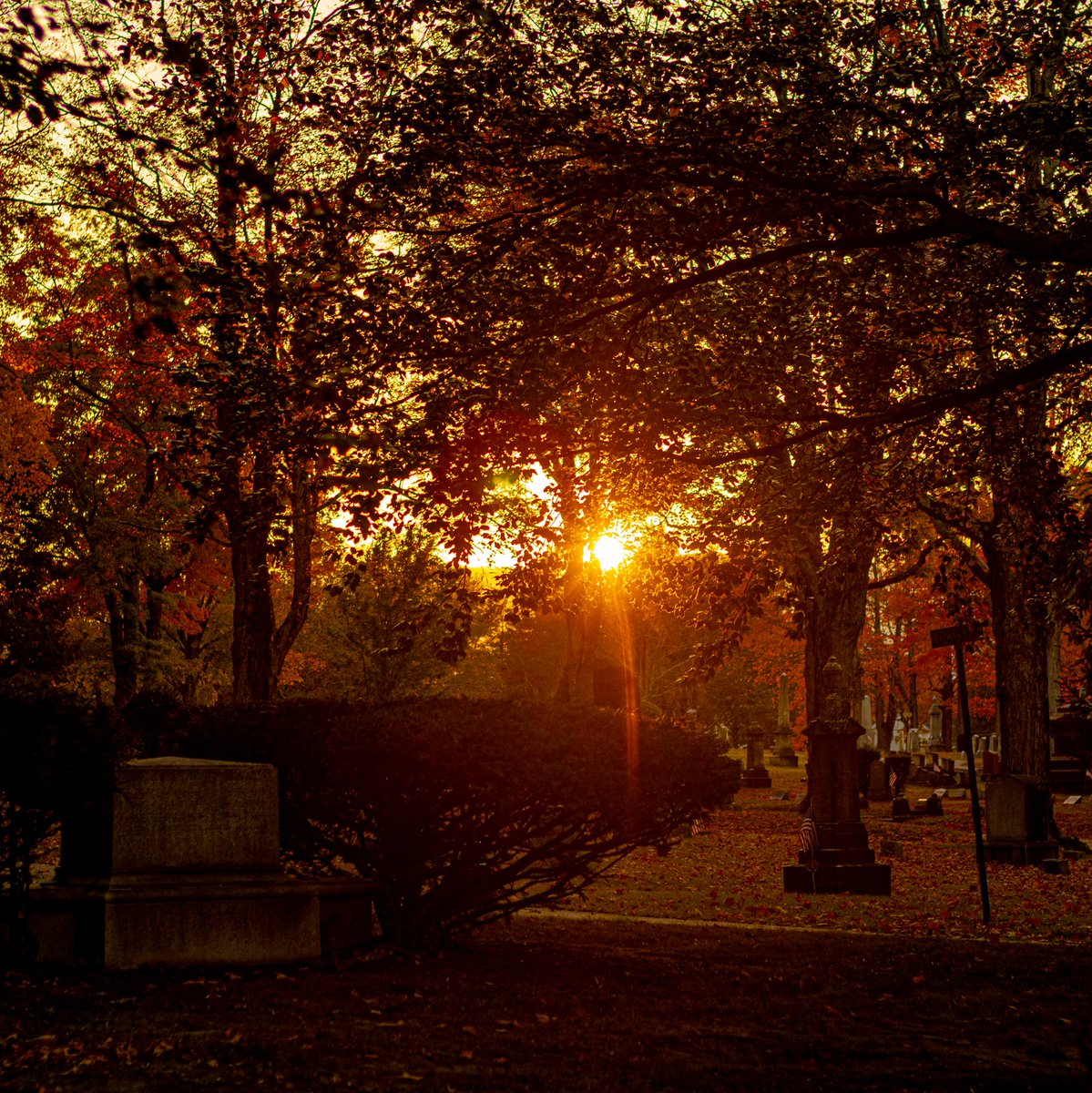 madmartign's tweet photo. #cemetery #cemeterysun #sunset #sunsetphotography #Autumn #photography #photooftheday #lightroom #moody https://t.co/55IKnafnhz