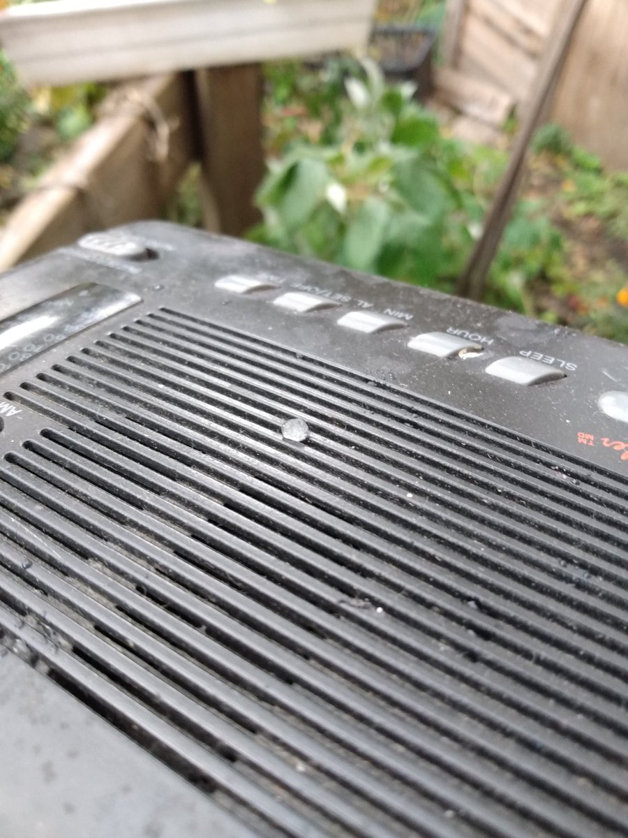 mdcnunes's tweet photo. @jelenaadzic @trevorjdunn a wee bit if a #hailstorm out here in #parkdale falling on my #radio picking up @CBCHereandNow  while I continue #wintergardenprep! https://t.co/ryZooKqqYd