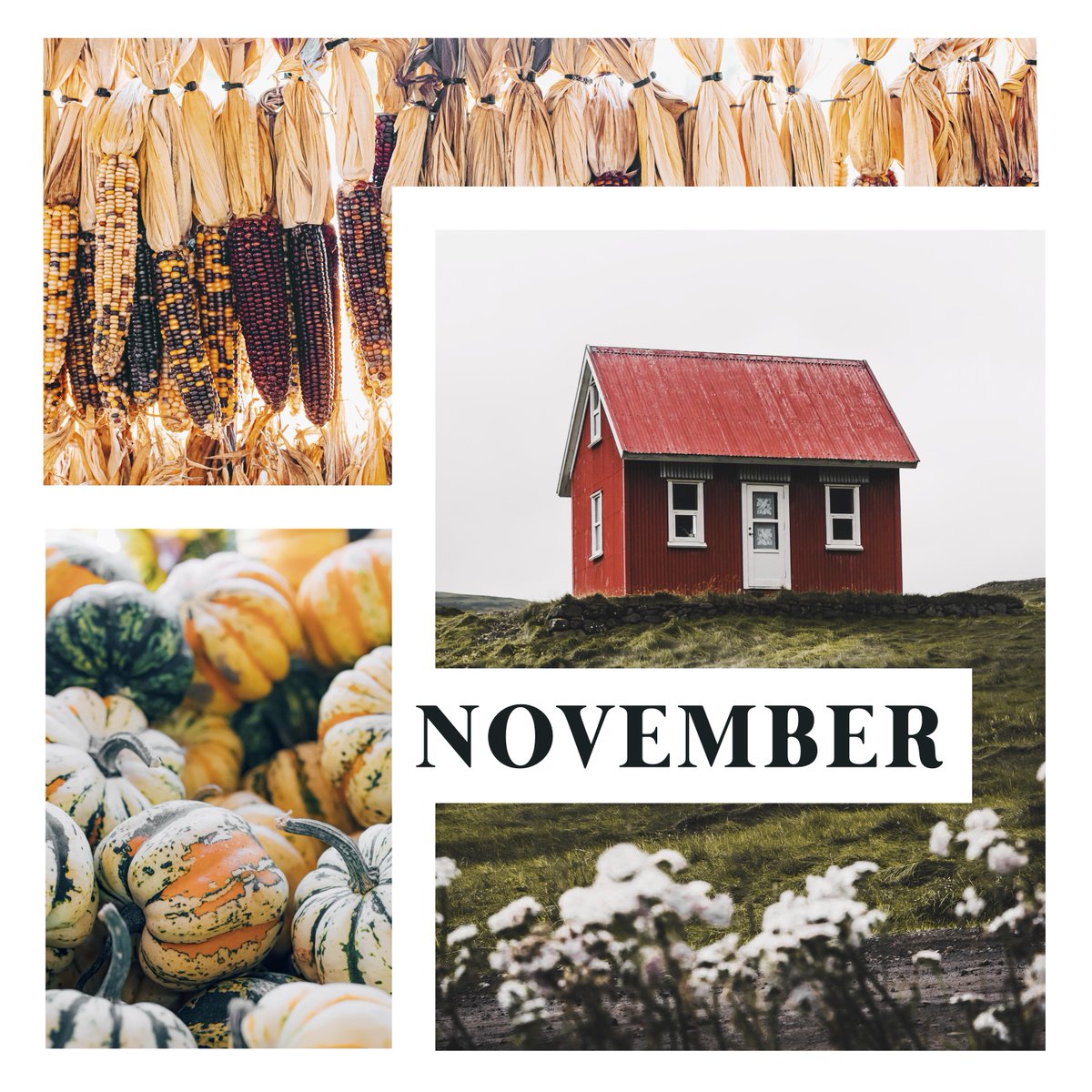 MatchboxRealty's tweet photo. November is all about gratitude and we are so grateful you decided to call Harrisonburg your home for all the memories you’ll make this November. Let us know what you are grateful for in the comments below. 
#Grateful #November #ShenandoahValleyLiving https://t.co/Ndvqzme87n