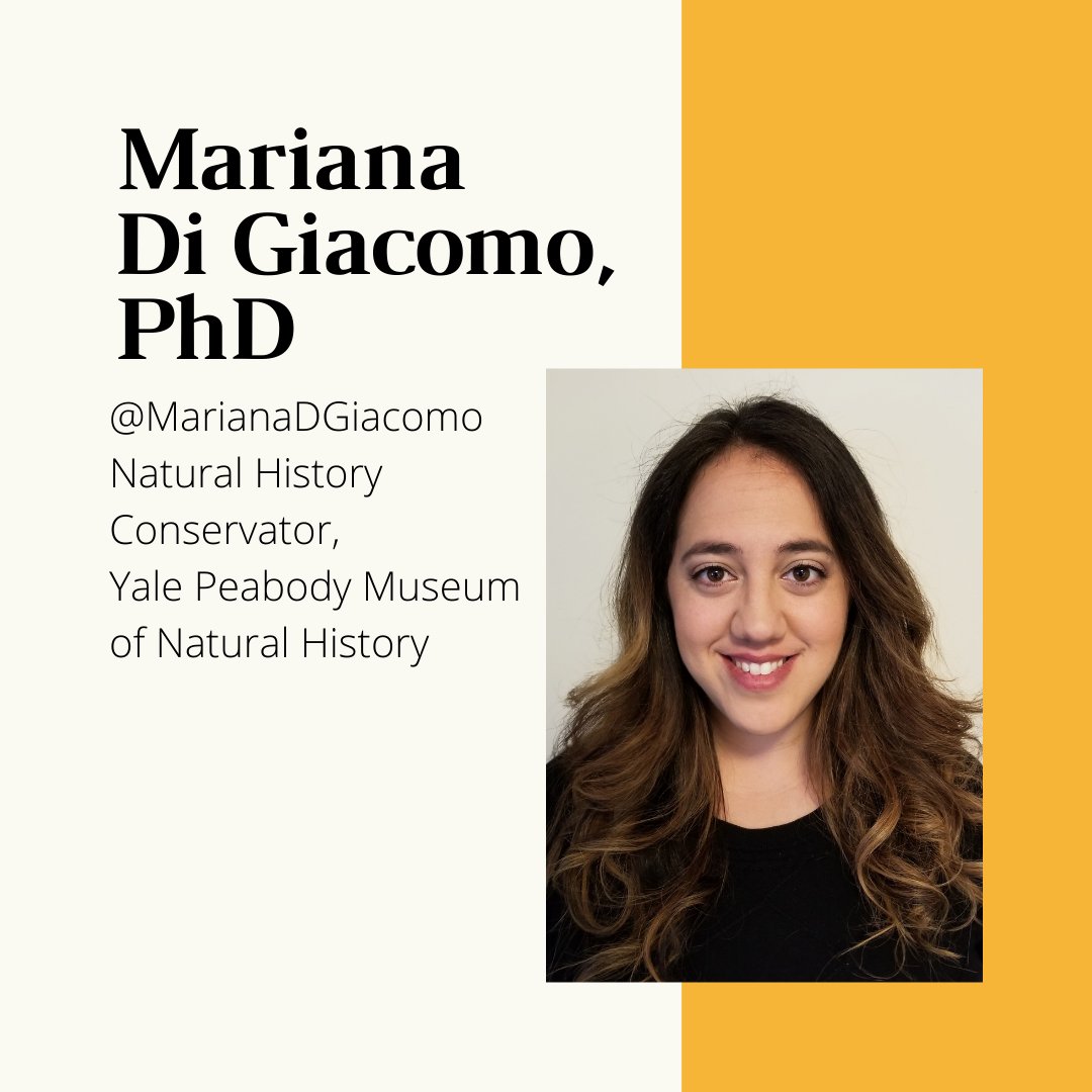 conservators's tweet image. We'll be hosting here on our account, but follow our panelists and the #AskAConservator hashtag to make sure you don't miss anything! @NailsRToolsToo, @MarianaDGiacomo, @artifactconserv, @mkpreventive... [2/3]