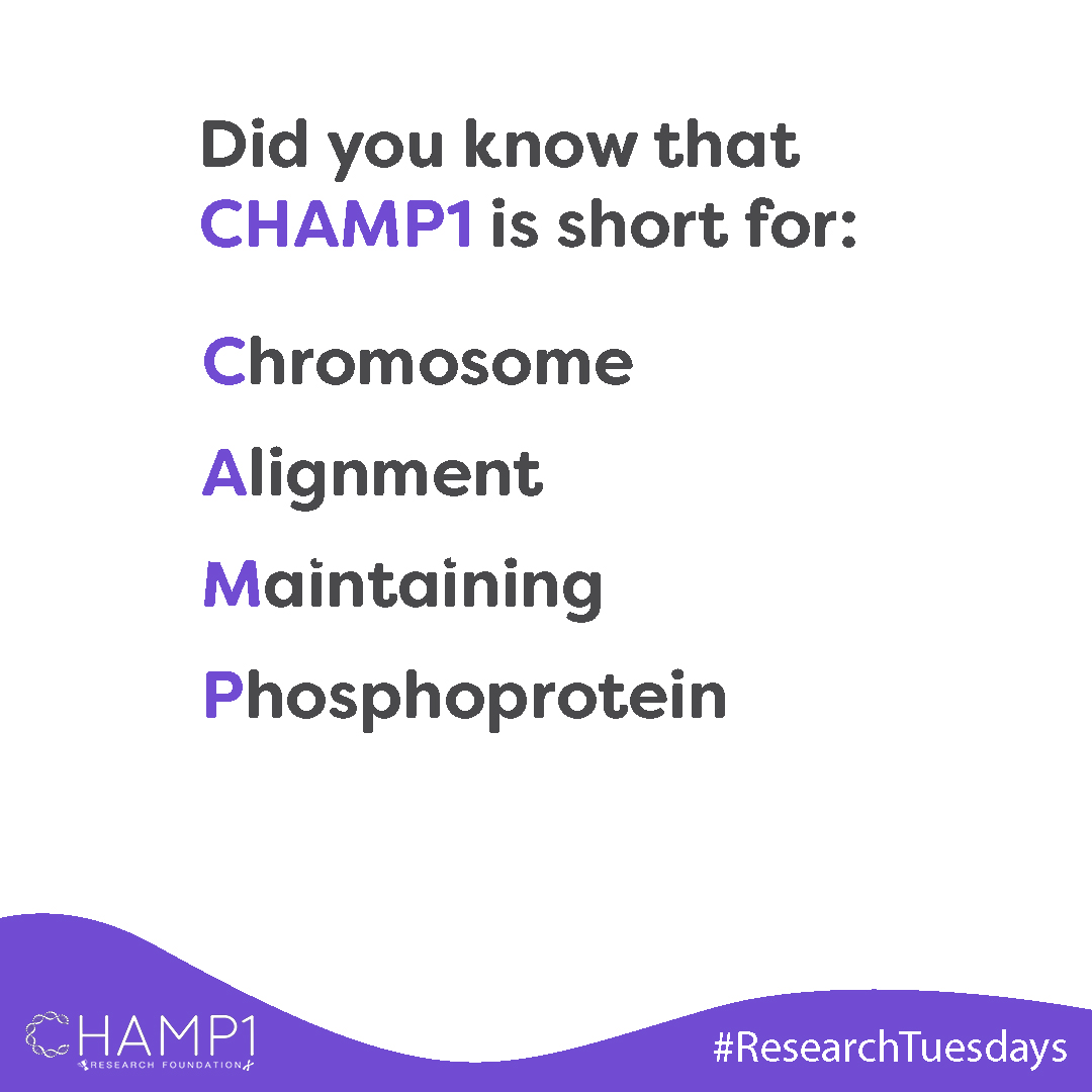 🧬CHAMP1 an ultra rare genetic disease discovered in 2015. It is located on chromosome 13 and is said to be crucial in cell division called mitosis. Follow the thread for more  ⬇️  🧬 #CHAMP1 #ResearchTuesdays #rare #genemutation #champ1researchfoundation