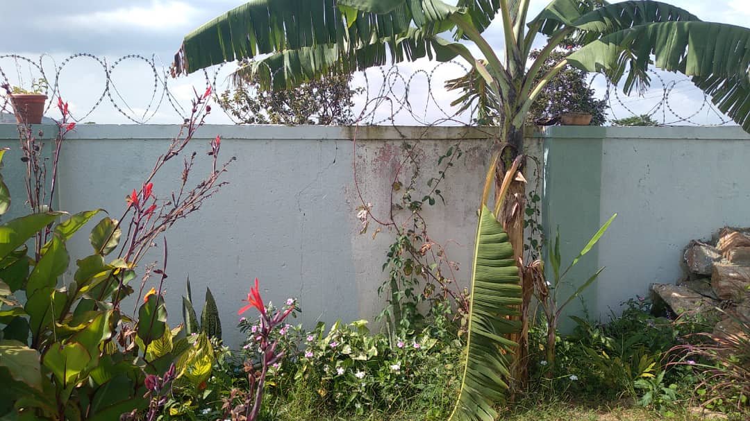 sshafiki's tweet image. Tropical and  calmness.
Book your room