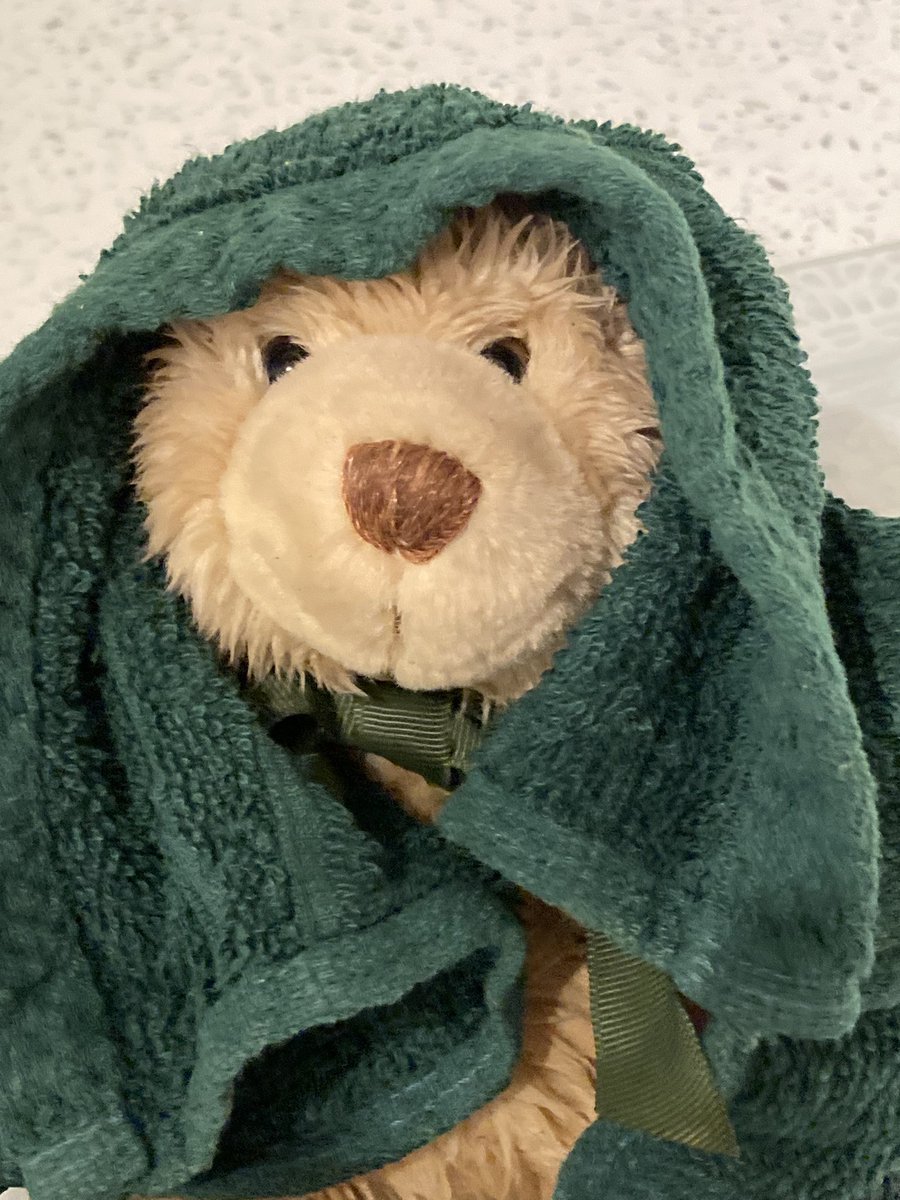 WraggAngel's tweet photo. Found this little bear in Crystal Peaks car park, all on his own wet and in the dark 🥲
He’s had a bubble bath, warm fluffy towel , hot chocolate watched Emmerdale and now he’s fast asleep in bed .If he belongs to you drop me a message and I will bring him back to you 🥰 https://t.co/zPEyJZzaP0
