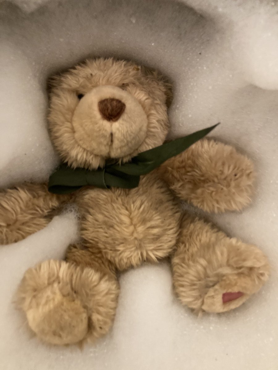 WraggAngel's tweet photo. Found this little bear in Crystal Peaks car park, all on his own wet and in the dark 🥲
He’s had a bubble bath, warm fluffy towel , hot chocolate watched Emmerdale and now he’s fast asleep in bed .If he belongs to you drop me a message and I will bring him back to you 🥰 https://t.co/zPEyJZzaP0