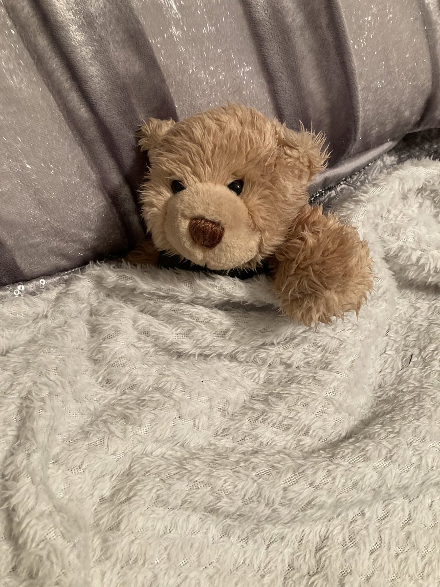 WraggAngel's tweet photo. Found this little bear in Crystal Peaks car park, all on his own wet and in the dark 🥲
He’s had a bubble bath, warm fluffy towel , hot chocolate watched Emmerdale and now he’s fast asleep in bed .If he belongs to you drop me a message and I will bring him back to you 🥰 https://t.co/zPEyJZzaP0
