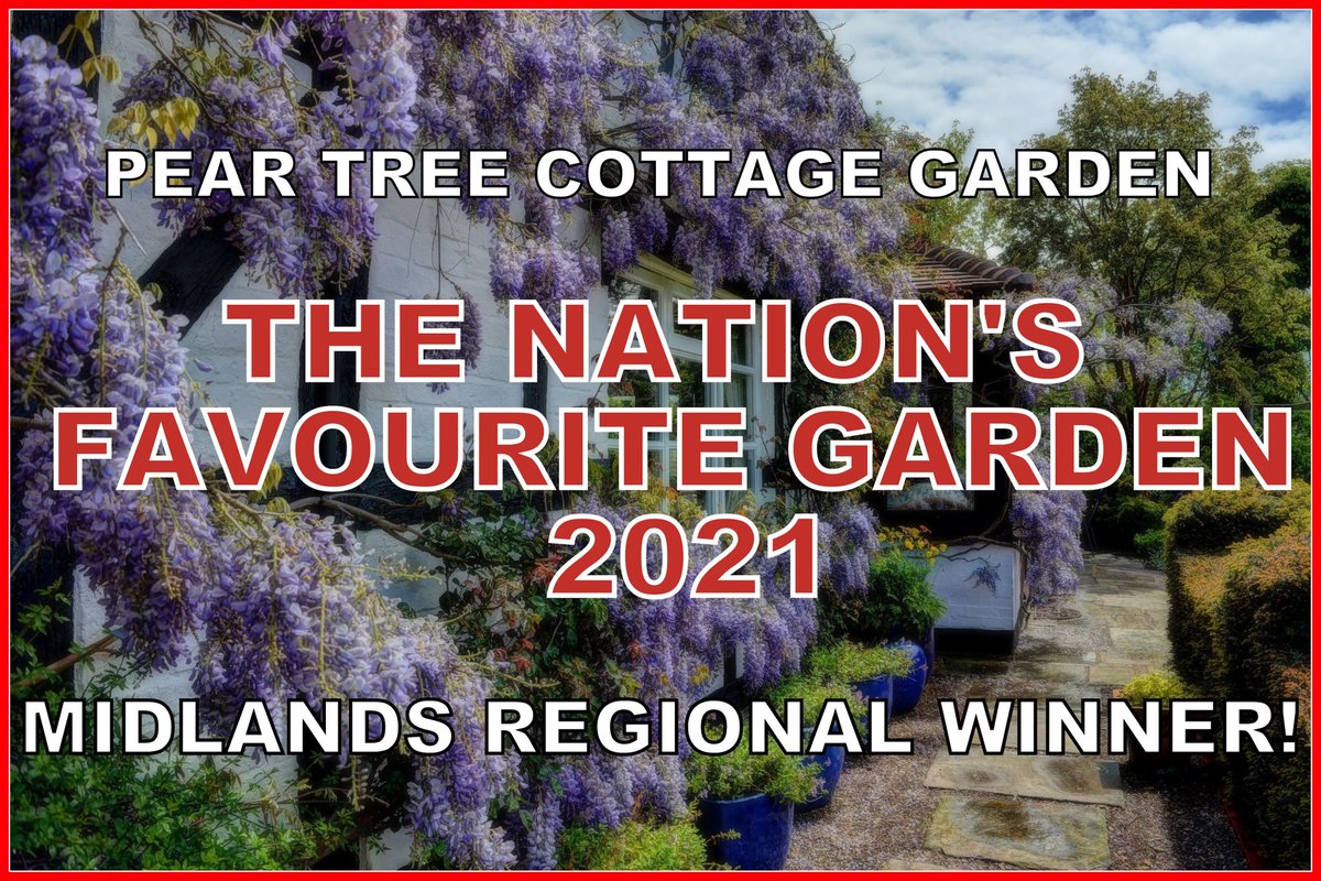 PirusTabernus's tweet photo. Thanks to all our loyal supporters. Time to celebrate!!! @Agriframes @NGSOpenGardens @Haddonstone  @sisleygardentours @TEGmagazine https://t.co/ocfDQAZtjr