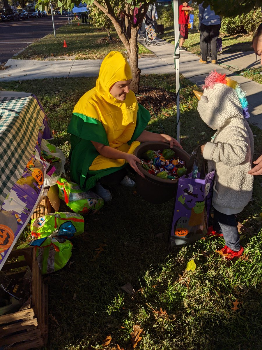 Springfield Community Gardens tweet media