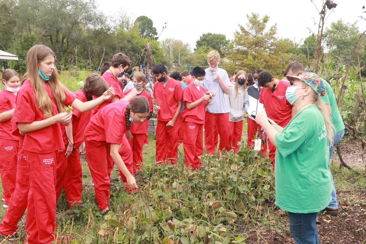 Springfield Community Gardens tweet media