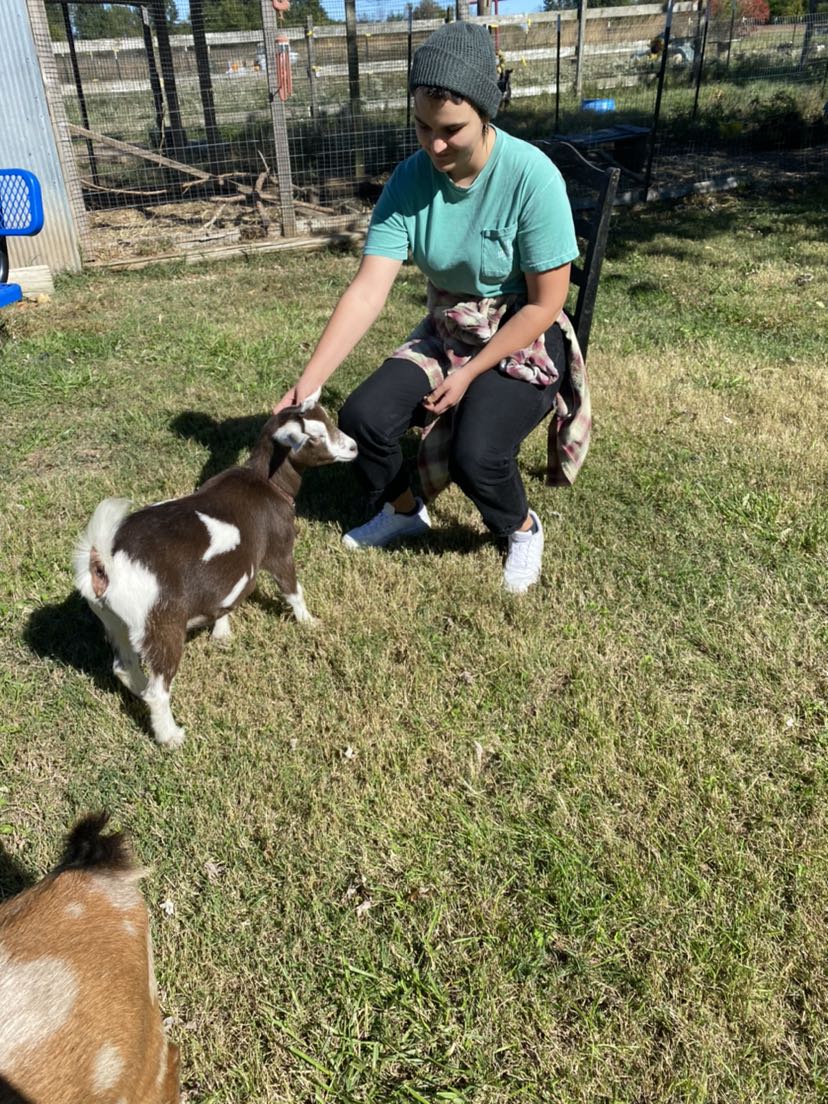 Springfield Community Gardens tweet media