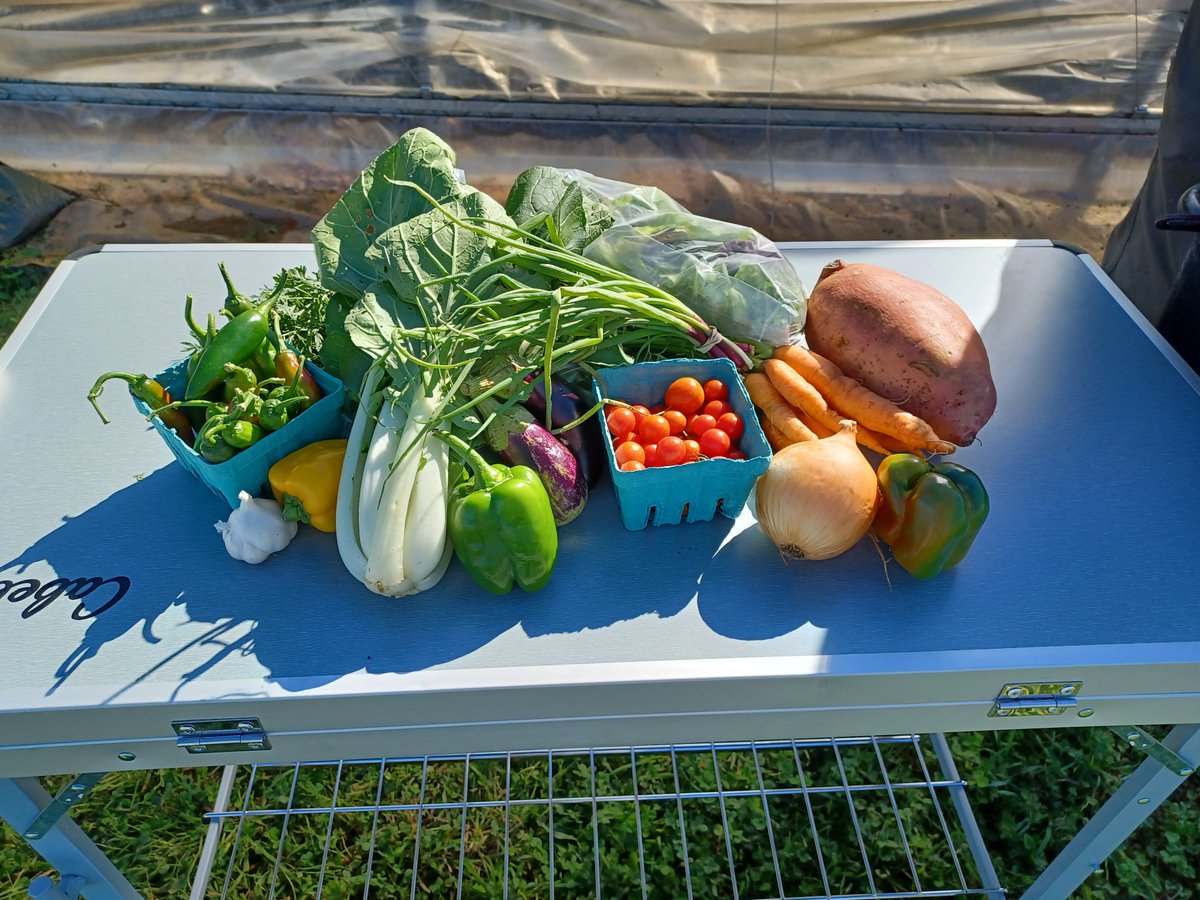 Springfield Community Gardens tweet media