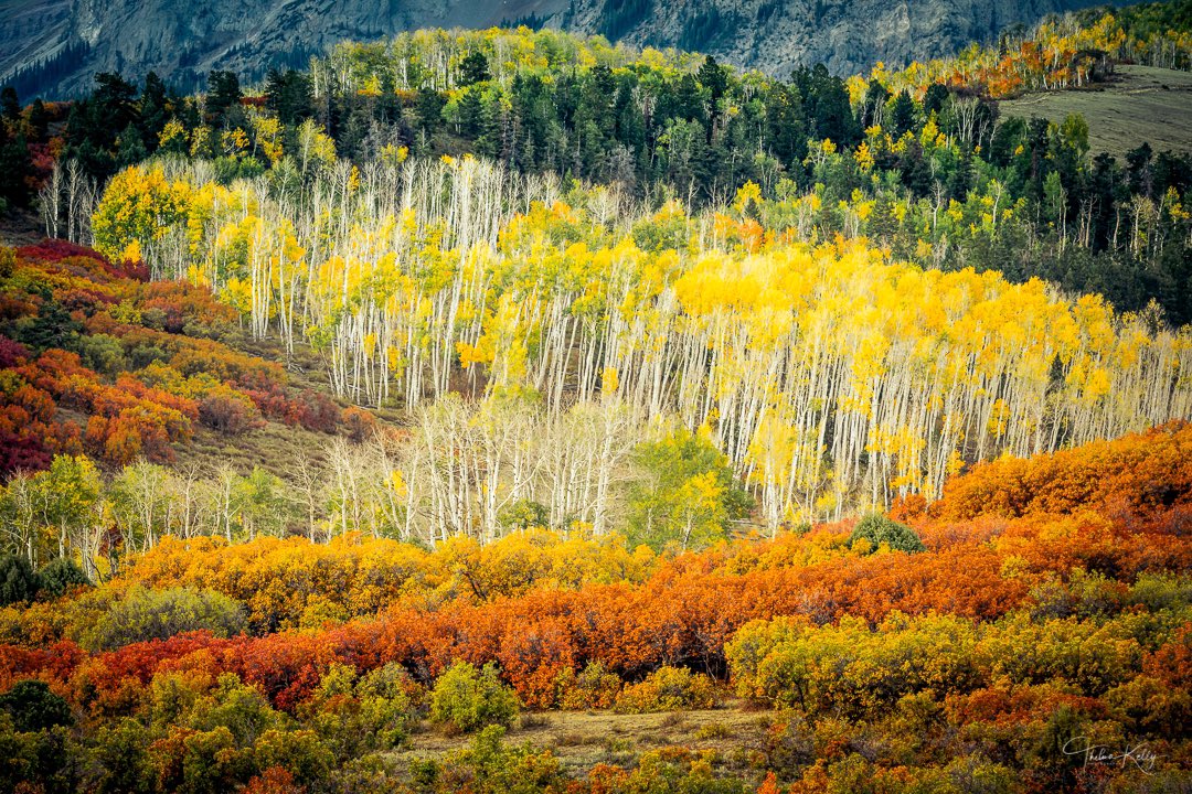 ThelmaKellyPho1's tweet photo. I’m still on the road, but let me sneak this one in!
#AmazingAutumn #landscapephotography https://t.co/DMmF0CFXgS