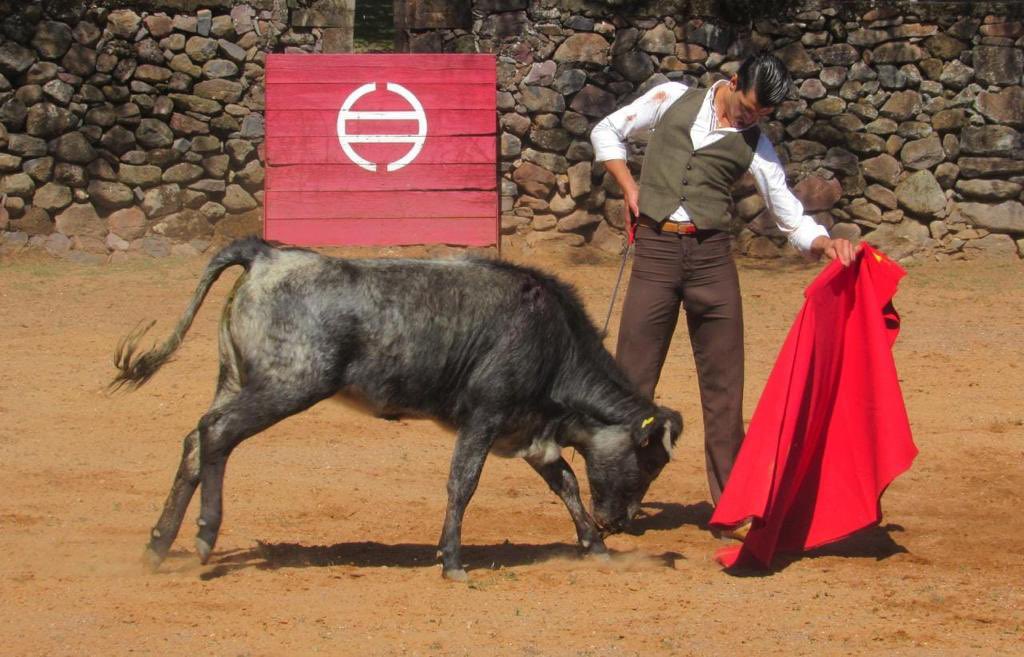 La Antigua 🇲🇽 2021
-
#jairomiguel #soñandoentorero #mexico #2021 #temporada #preparación #campo #charlas #momentos #fotografia #amigos
<a href="/JorgedeHaro/">Jorge de Haro Gonzal</a>