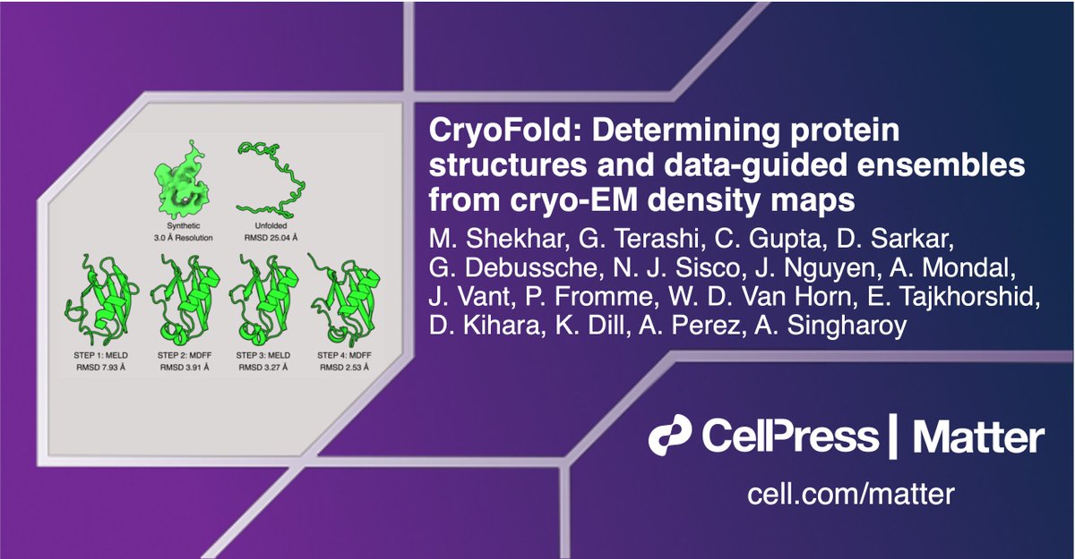 Matter_CP (@matter_cp) on Twitter photo #CryoFold is a data-guided tool for modeling molecular movements from cryo-EM density maps in #MatterIssue28!
Collab led by <a href="/abhisekhsingha1/">Abhishek Singharoy</a> w/<a href="/Al__Perez/">Alberto Perez</a> <a href="/d_kihara/">Daisuke Kihara</a> <a href="/emadtaj/">Emad Tajkhorshid, PhD</a> <a href="/mrinal1989/">Mrinal Shekhar</a> @Gterashi @17Dsarkar <a href="/ChitrakGupta2/">Chitrak Gupta</a> <a href="/JhnVant/">John Vant</a> & more
Check it out: bit.ly/3EHKu3M #CryoFold is a data-guided tool for modeling molecular movements from cryo-EM density maps in #MatterIssue28!
Collab led by <a href="/abhisekhsingha1/">Abhishek Singharoy</a> w/<a href="/Al__Perez/">Alberto Perez</a> <a href="/d_kihara/">Daisuke Kihara</a> <a href="/emadtaj/">Emad Tajkhorshid, PhD</a> <a href="/mrinal1989/">Mrinal Shekhar</a> @Gterashi @17Dsarkar <a href="/ChitrakGupta2/">Chitrak Gupta</a> <a href="/JhnVant/">John Vant</a> & more
Check it out: bit.ly/3EHKu3M