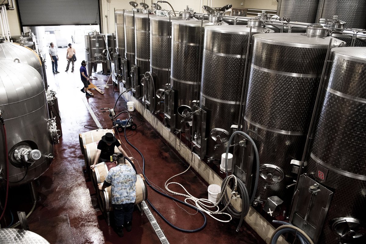 Exclusive birds eye view of all the action happening in production. This time of year is a whirlwind for our winemaking &amp; production staff. This is where all the magic happens!
childressvineyards #childresswines #wine #ncwine #winemaking #wineproduction