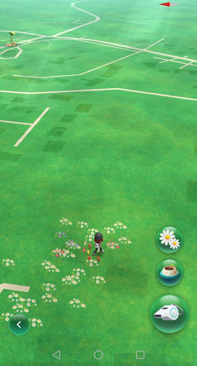 AutumnTiger_'s tweet photo. @Niickboyy @johnhanke @PikminBloom @NianticLabs Today! Woohoo! https://t.co/Z7BWAwp8oW
