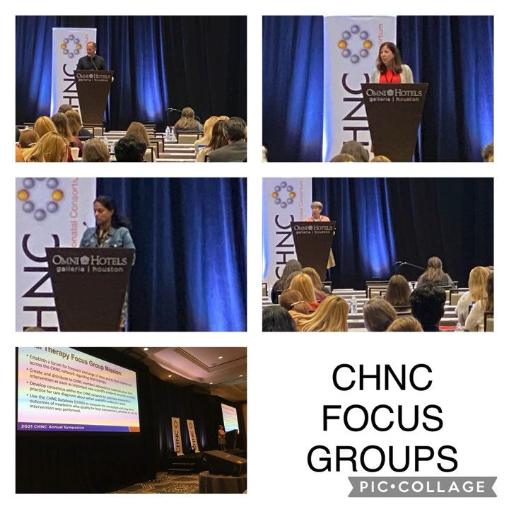 NeoConsortium's tweet photo. Exciting to hear the amazing work CHNC Focus Group are doing! Groups we heard from today: #HIE, #Gastroschisis, #NEC, #Resuscitation, #TransitionHome, #Neurosurgery, #ECMO, #Endocrinology, #TEF, #FetalTherapy
Stay tuned 11/3 to hear from the other 10 groups! #2021CHNCSymposium https://t.co/MR1lDLkyCe