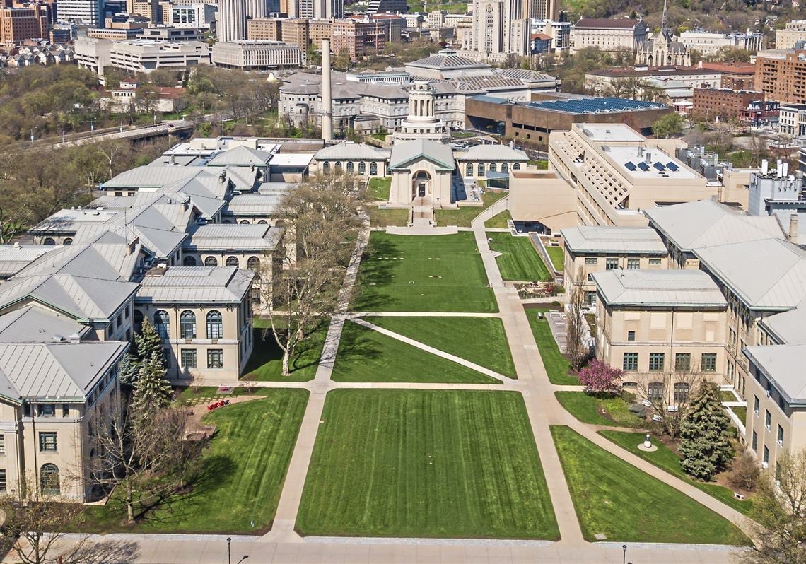 Collin Argue tweet media